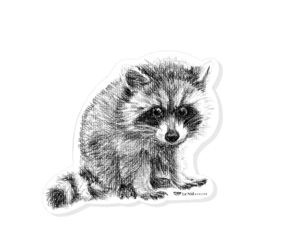 Autocollant de raton laveur