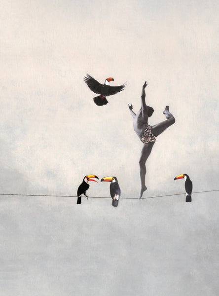 Affiche Conversation de toucans