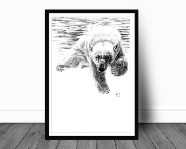 Affiche ours polaire qui nage