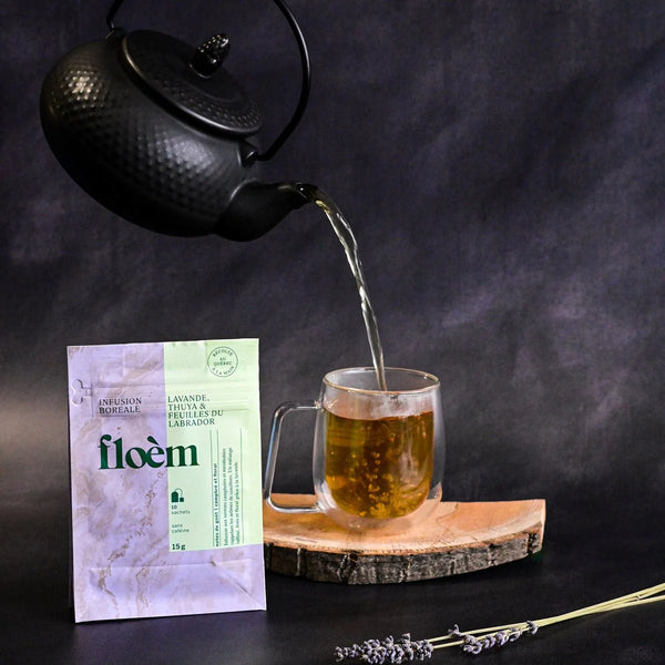 Tisane en sachets Thuya, Lavande & feuilles du Labrado