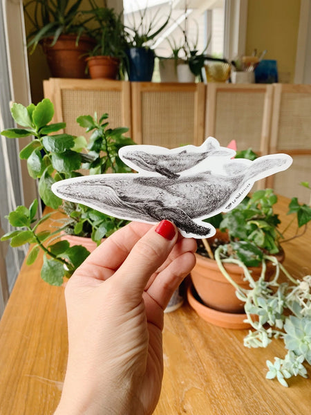 Baleine avec son bébé Autocollant