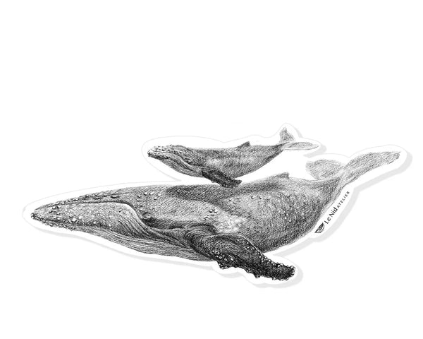 Baleine avec son bébé Autocollant