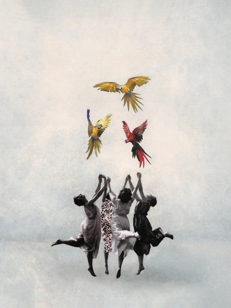 Affiche La danse des perroquets